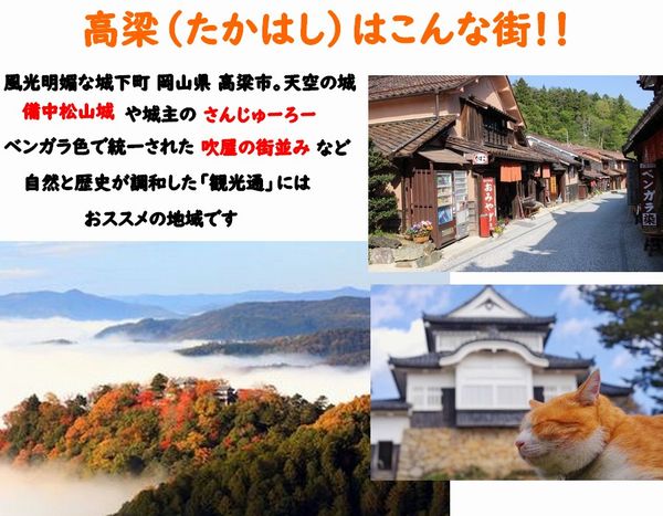 おもいのたけ チョコレート 14個入　高梁 みやげ 紅茶リーフ たけのこパウダー 入り