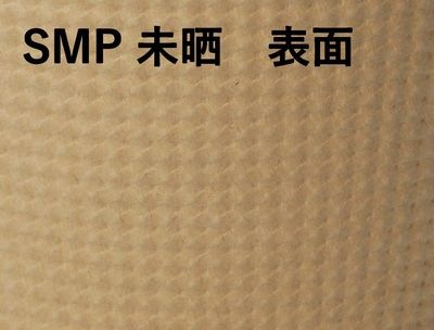 Ǯƴ SMP-900E-2 ̤ ΤΤ 480ѥå 䤹  ں ۻ