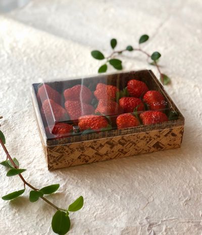 ハイブリッドBOX TAXHB-6H（透明高ふた付）