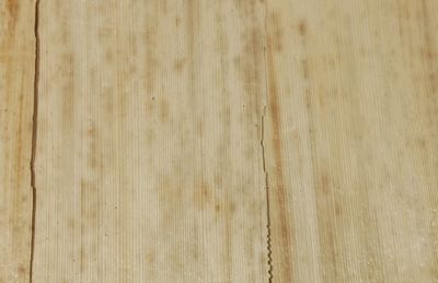 白竹皮 ハイブリッド容器｜テイクアウト・仕出し・和菓子・ギフト向け｜ 20個パック WHY-6H