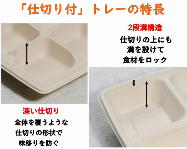 バガス モールド容器（仕切り付き・蓋付）｜弁当・惣菜向け｜環境配慮エコ紙容器｜50個パック｜SGP-232-4S-FT