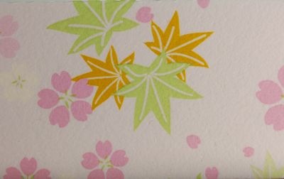 プラスダレ容器　PSY-169P ふた付 特別感 弁当 寿司 お菓子