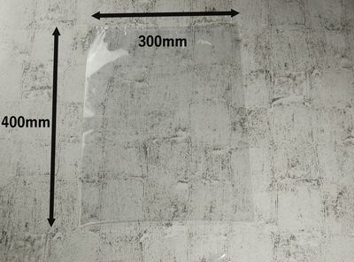 トリプルナイロン NY-12 100枚パック 400×300mm  真空包装 ソーセージ 漬物 明太子