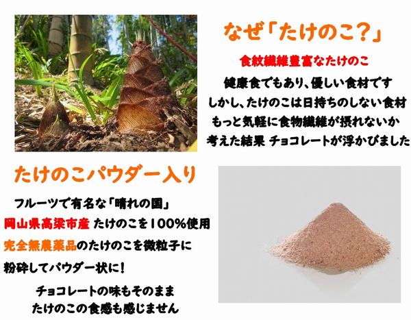 おもいのたけ チョコレート20個入り 高梁 みやげ 紅茶リーフ たけのこパウダー 入り