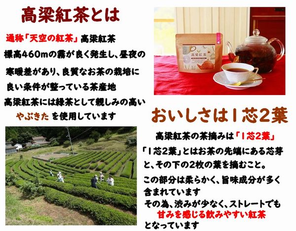 おもいのたけ チョコレート20個入り 高梁 みやげ 紅茶リーフ たけのこパウダー 入り