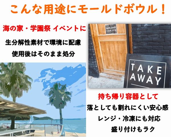モールド ボウル SGP-1000ml-B-FT ふた付 300枚P 冷凍 レンジ対応 丼 めん類