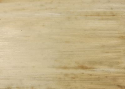 白竹皮プレス容器｜天然竹皮100％｜上品・モダン｜弁当・寿司向け 100個パック WPY-200H