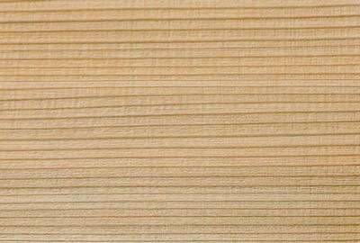 精肉折 杉柄 SGO-26-20深 ギフト 精肉 