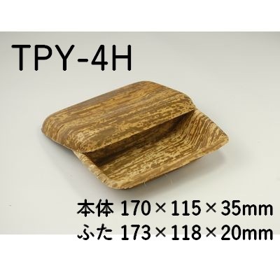 ハンバーグ膳 (TPY-4H)