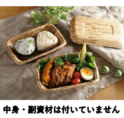 ハンバーグ膳 (TPY-4H)