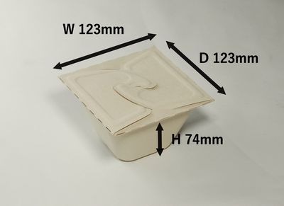 ⡼ ƴ SGP-123   ں 
