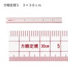 【メール便対象】方眼定規エンビ製S 30×3cm 1cm方眼|定規|計測道具