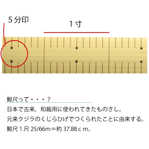竹尺 (普通巾)(両メモリくじら尺)鯨尺 1尺｜三友教材オンライン