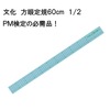 文化 方眼定規60cm 1/2|縮尺定規|定規