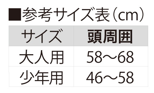 TT-16 セーフ面