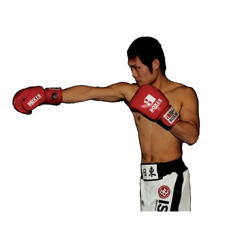 IBX-12 ボクサーグローブ（マジックベルト式）