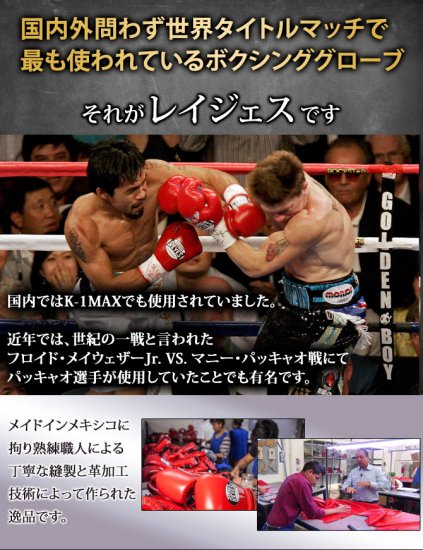 【日本限定】REYES　トレーニンググローブ(ベルクロ式)/8,10oz/BLUE