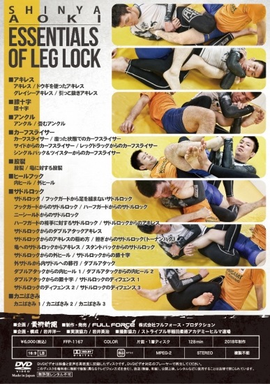 青木真也 足関節の精髄