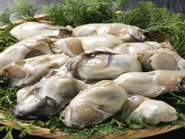 ���ڤभ��L