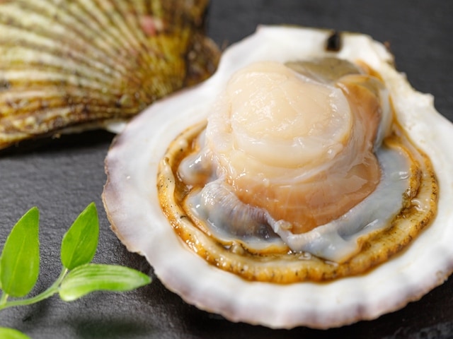 �ۤ����ҳ�