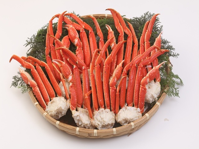 �ܥ��뤺�襤���� 2L