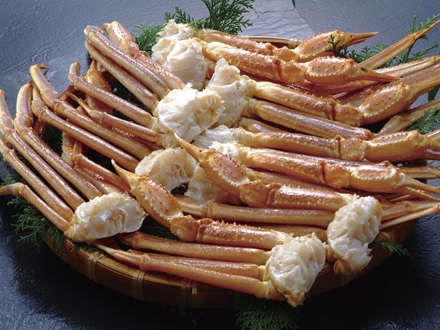 �����襤����2L