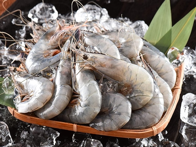 ŷ�Ȥγ�Ϸ��(40��50��)