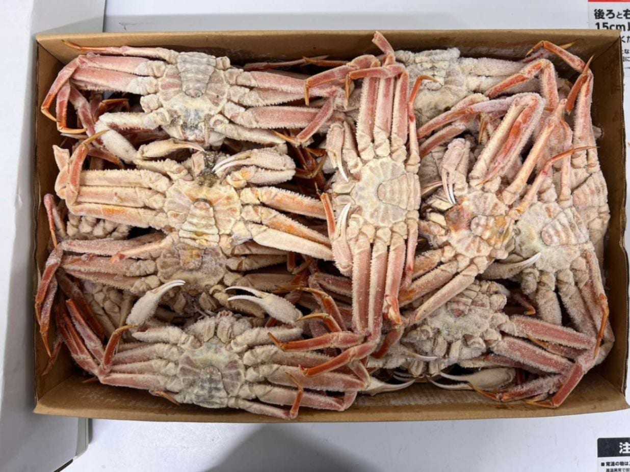 �ܥ���Х�����ѡ�10kg