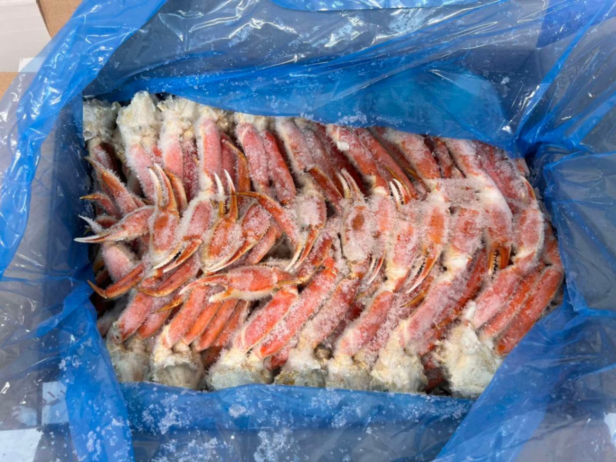 �ܥ��뤺�襤���˥��������8up��������