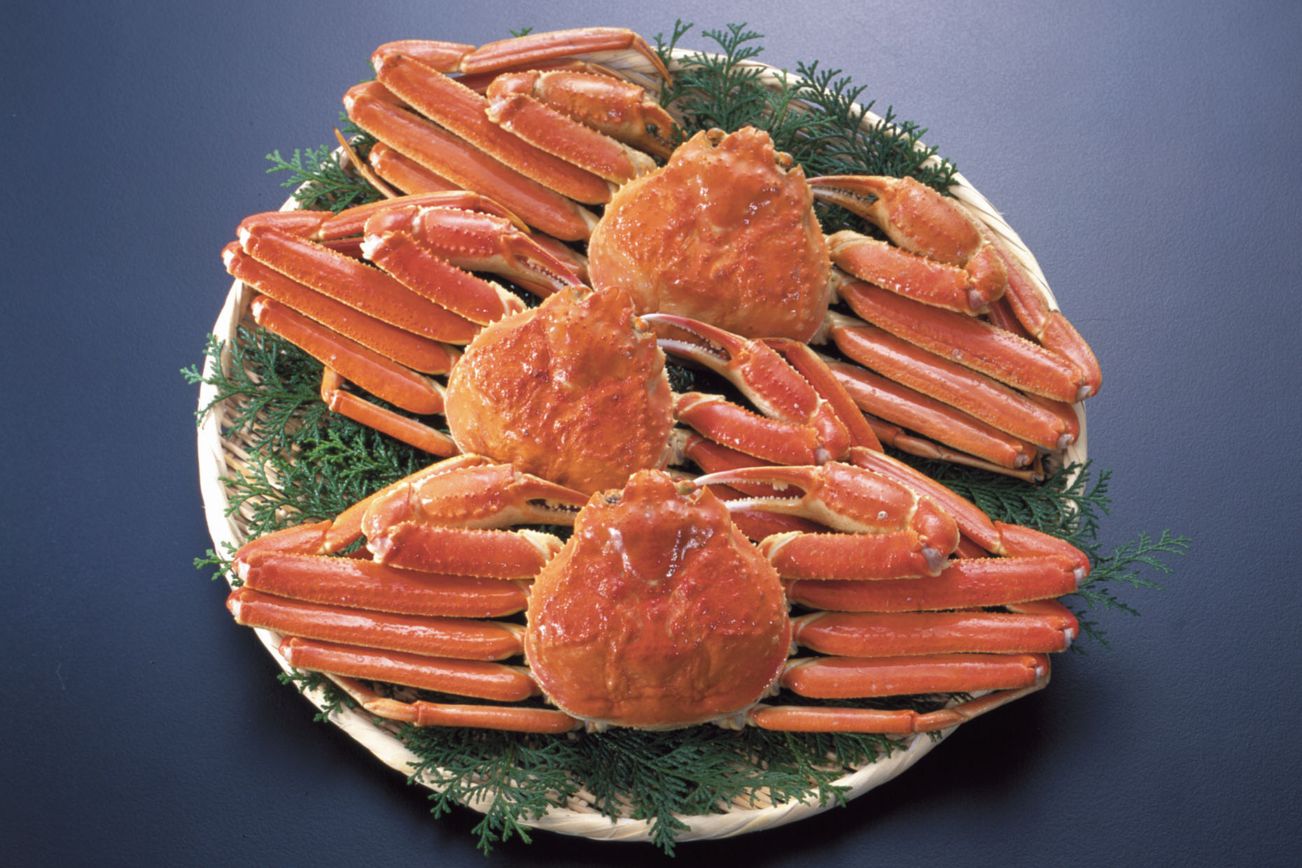 �ܥ��뤺�襤���˻ѡ�7����