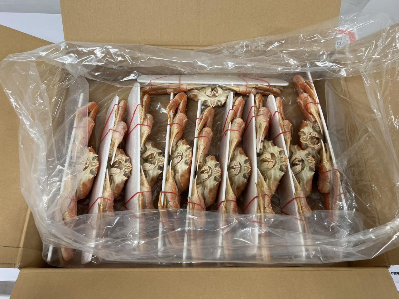 �ܥ��륪�����磻��10��