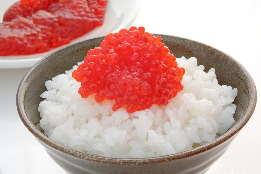 �Ⱥ�����������Ҥ�