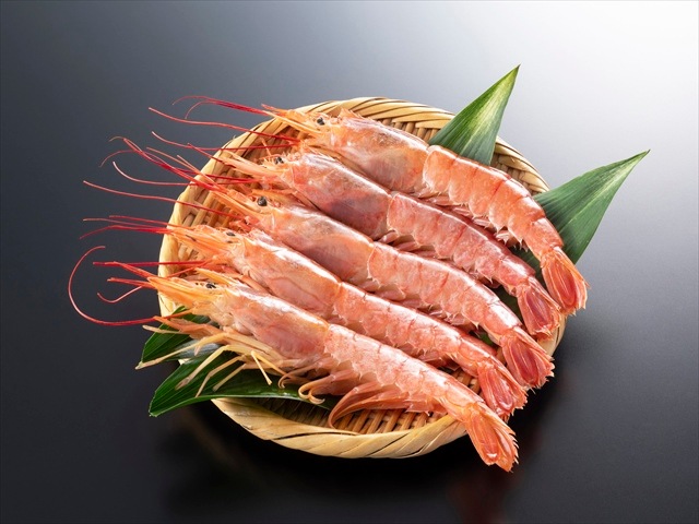 를֥L1