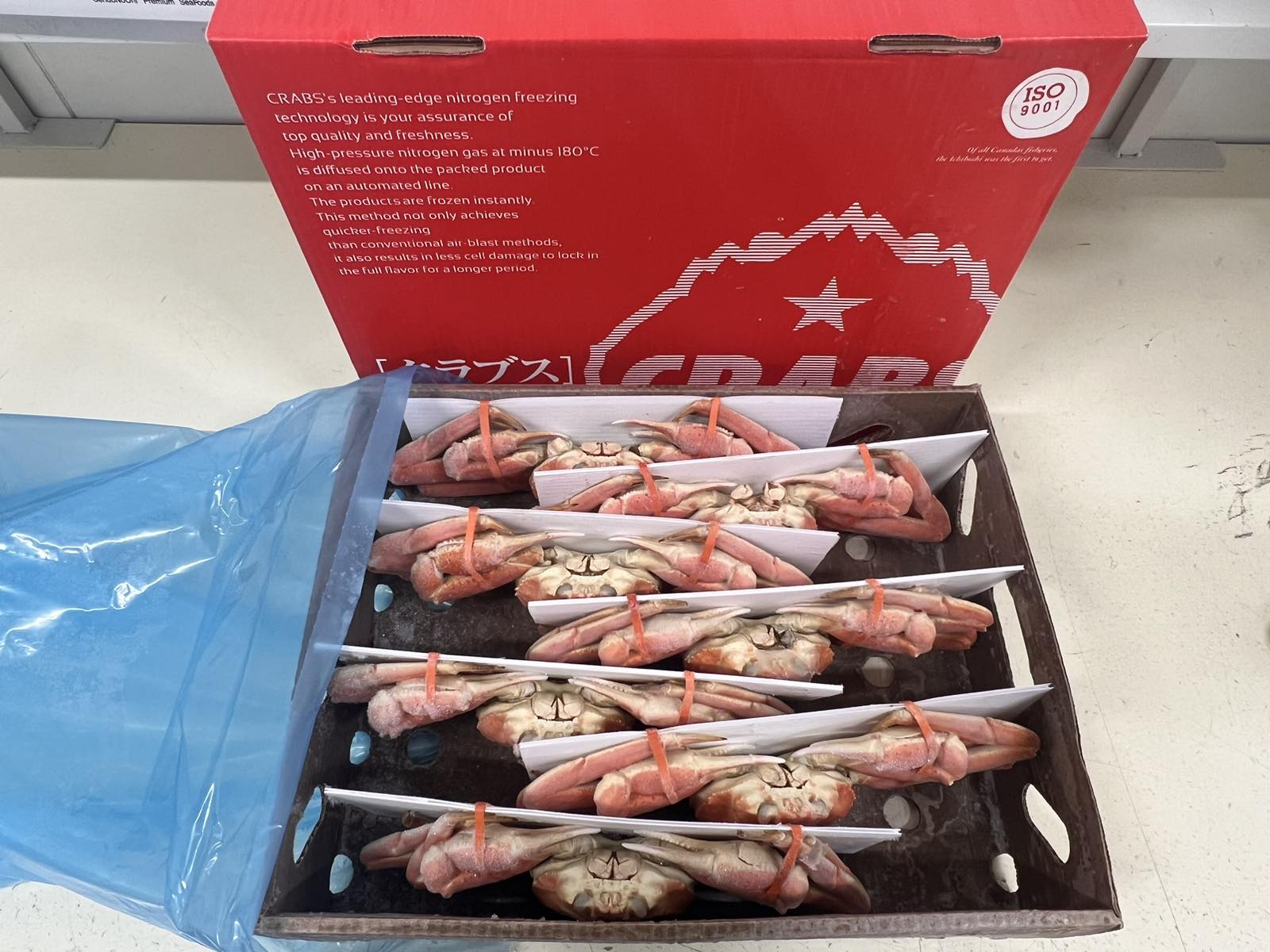 �ܥ��뤺�襤���˻ѡ�7����