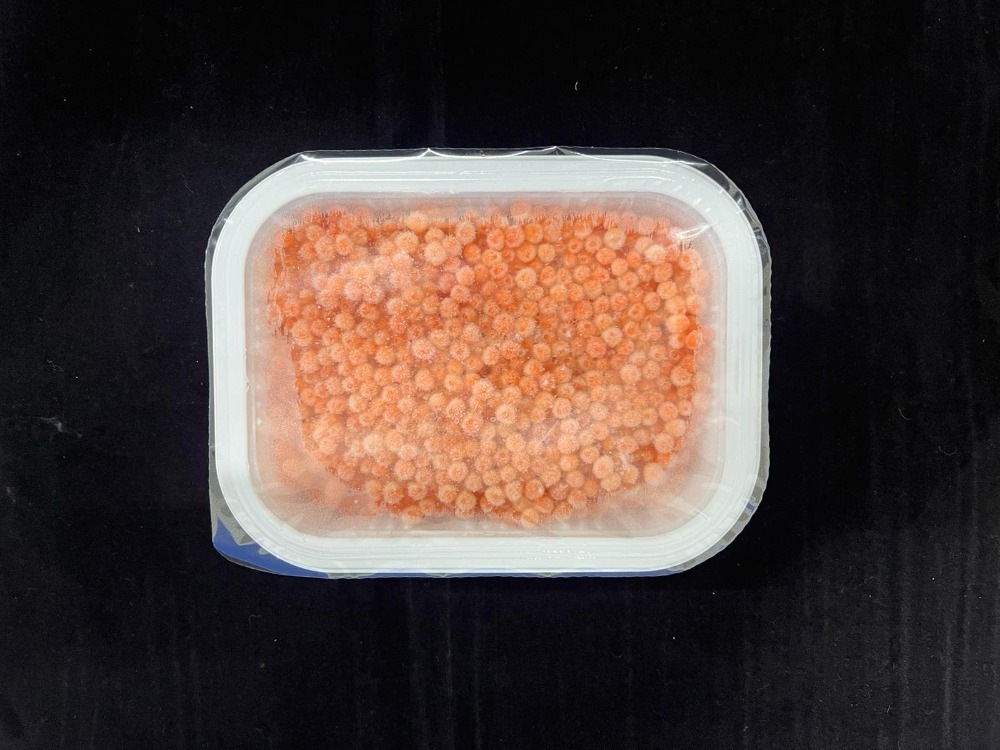 �𤤤�������Ҥ� 250g