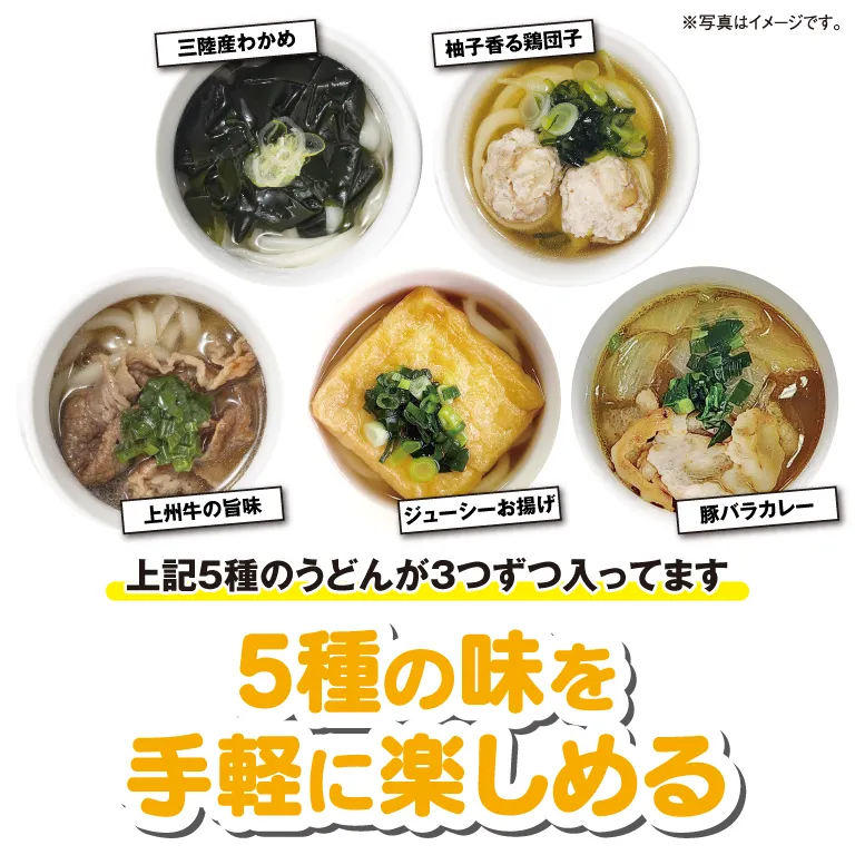 【本州のみ送料無料】<br>冷凍マグカップうどん（15食 / 5種セット）