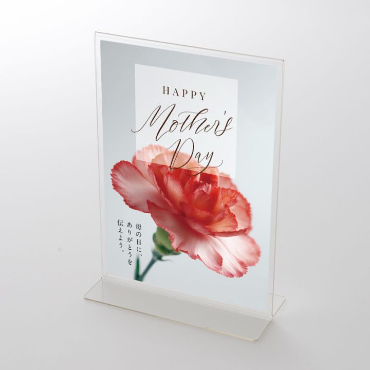 アクリルスタンドセット  母の日MOTHER'S DAY「カーネーション②」 ポップ