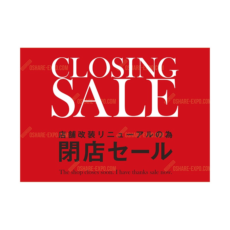 ピュア・ポートレート        北へ          販促非売品ポスター ピュア・ポートレート 北へ 販促非売品ポスター