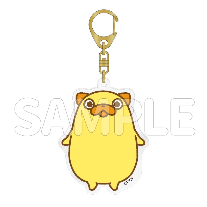 パグ太郎 はじめましてパグ太郎です。