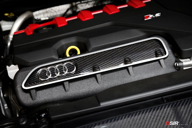 OSIR Intake Cover TTRSMK3  ܥ ơС for TTRS Mk3