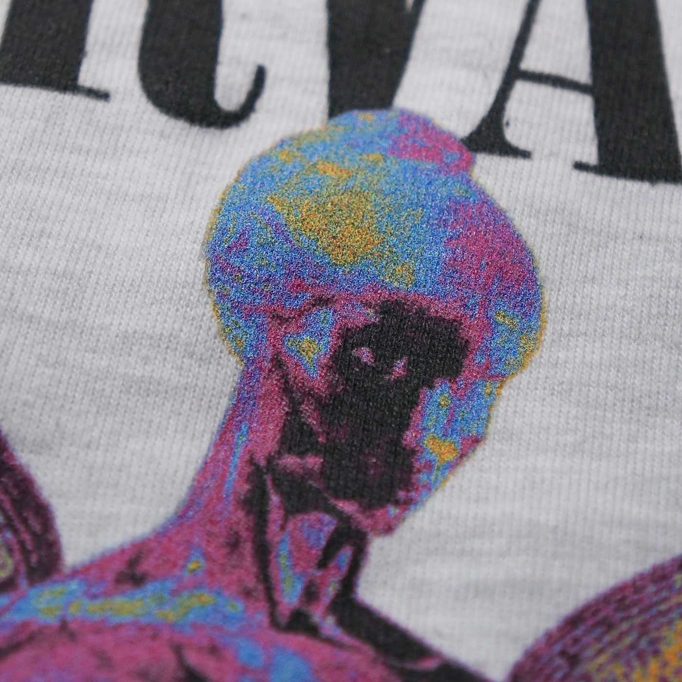 NIRVANA åȥ In Utero-Grey