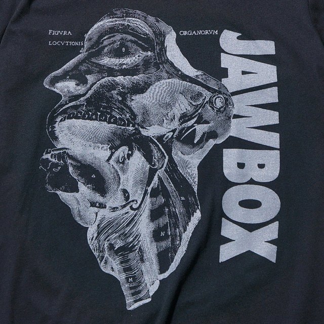JAWBOX�ʥ��硼�ܥå����� T����� Anatomy-Black