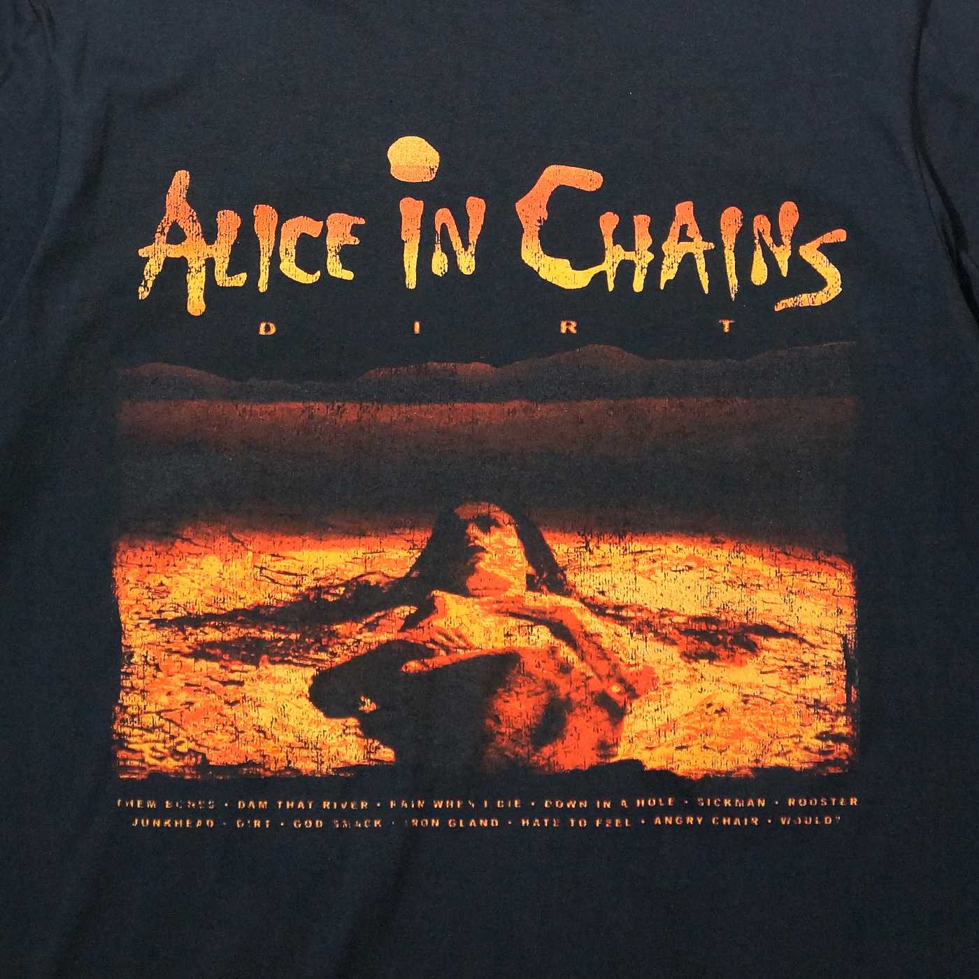 ALICE IN CHAINS アリス・イン・チェインズ Tシャツ Vintage Dirt Sun
