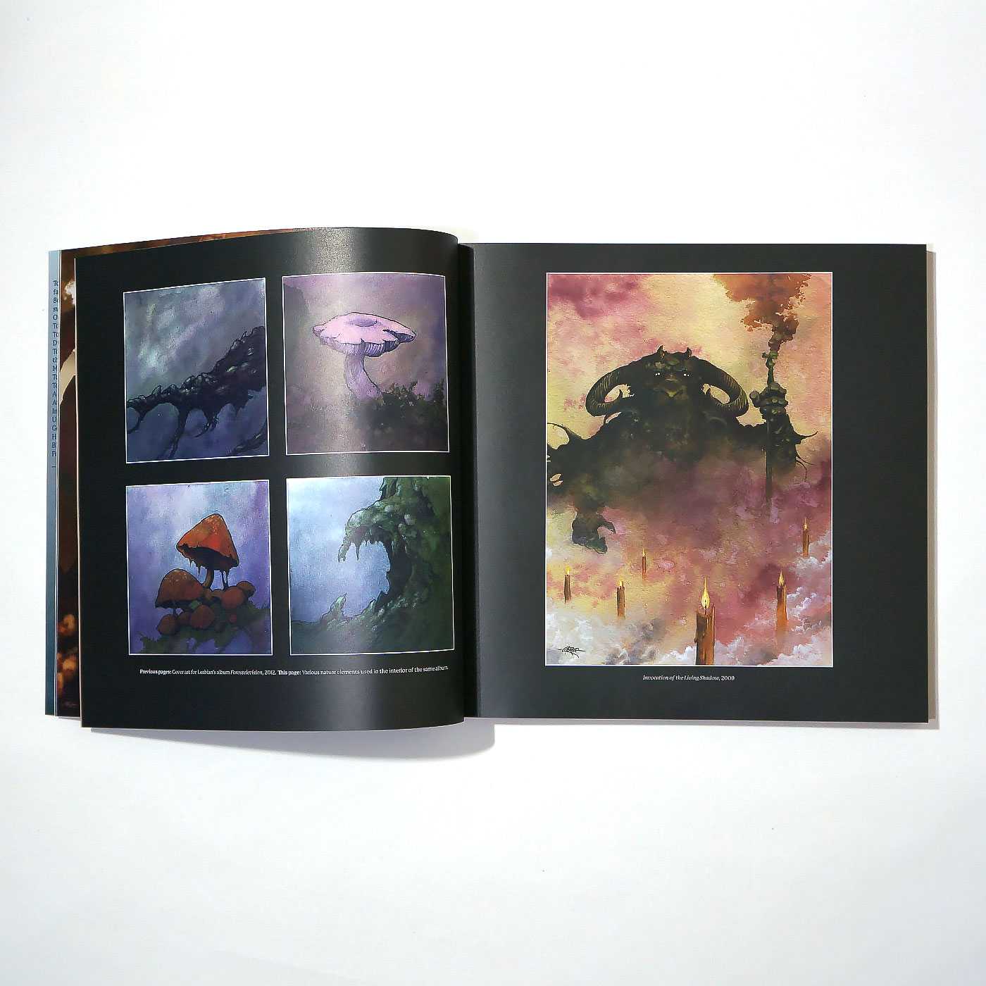 Vision of the Hawk - Arik Roper 洋書 作品集 | OSOMALO バンドTシャツの通販