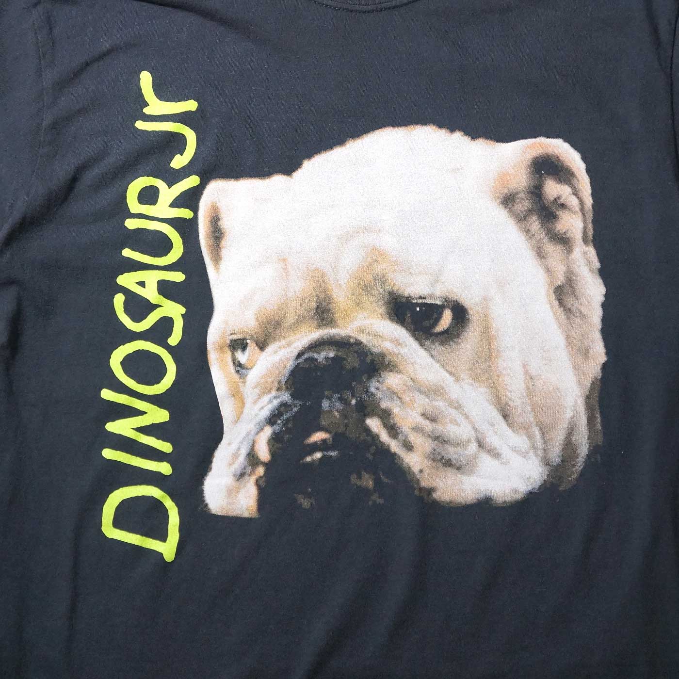 DINOSAUR Jr. Tシャツ Whatever's Cool With Me-（Comfort Colors
