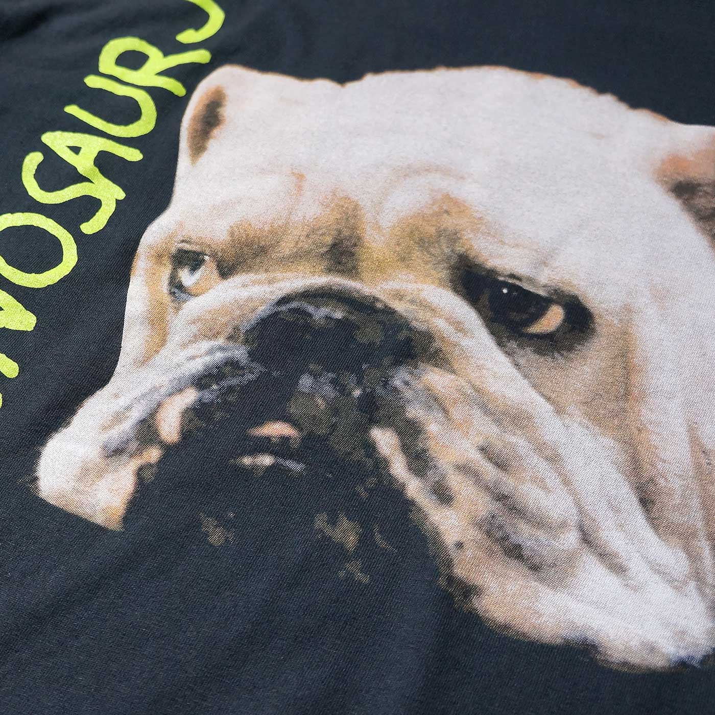 DINOSAUR Jr. Tシャツ Whatever's Cool With Me-（Comfort Colors