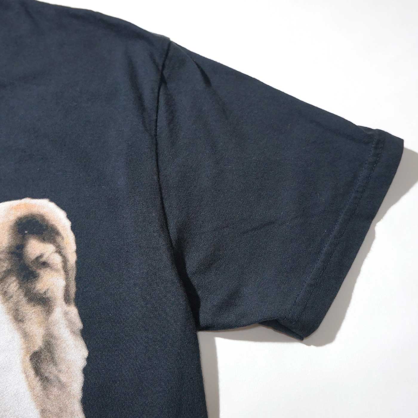 DINOSAUR Jr. T����� Whatever's Cool With Me-��Comfort Colors��Black