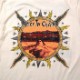 ALICE IN CHAINS ���ꥹ�����󡦥������� T����� Vintage Dirt Sun-Natural
