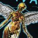 NIRVANA T����� In Utero Neon Blue Premium Carbon-Black