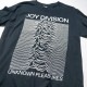 JOY DIVISION Tシャツ 公式 Unknown Pleasures-Black